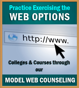 WebCounselling