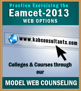 WebCounselling2013